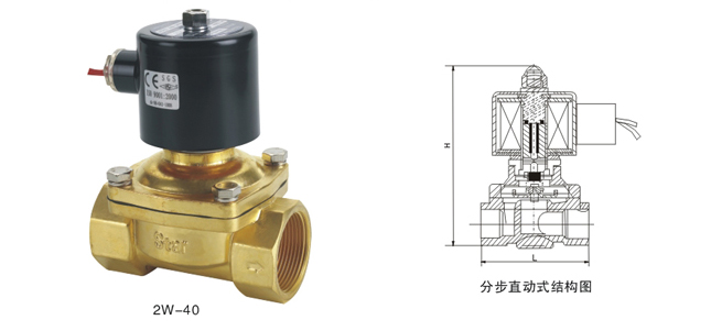 2W-250-25  2W250-25  2W-25  ;2W系列水(热水)气电磁阀