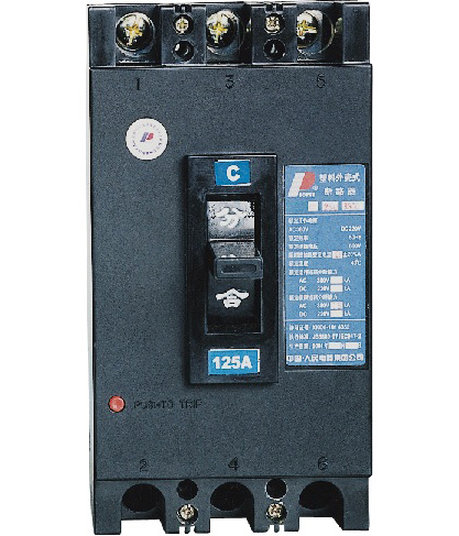 DZ15-100/290 10A 塑壳式断路器 PEOPLE 人民电器集团